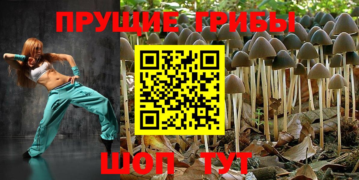 Псилоцибиновые грибы Cubensis Печора