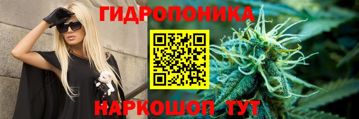 МАРИХУАНА планчик  Вход с VPN  Печора  Конопля план  МАРИХУАНА Bruce Banner 